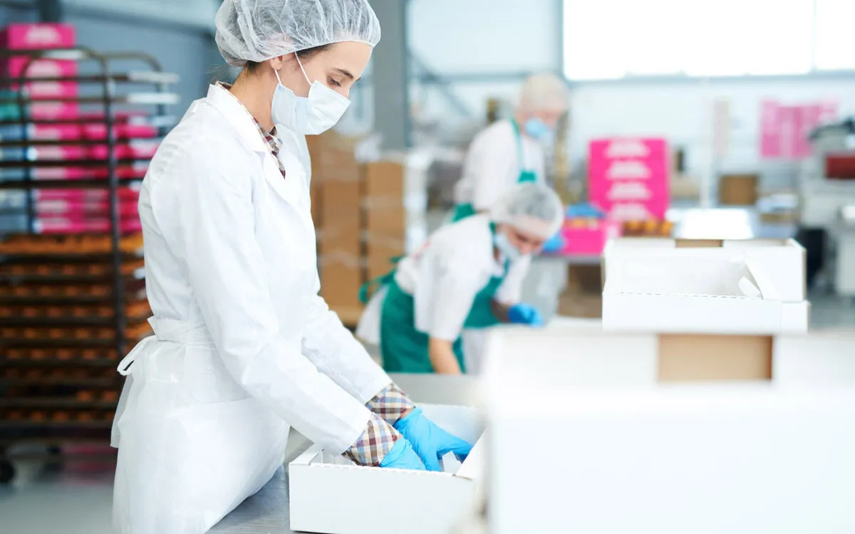 Hijyen Eğitimi & Mesleki Eğitimler